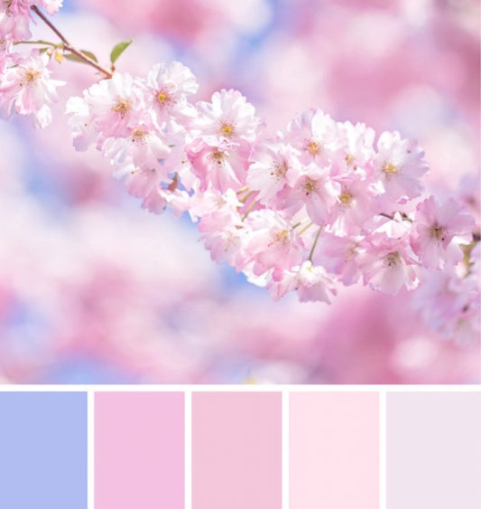 Cherry Blossoms Warp