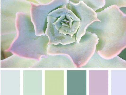 Green Succulents Spooled Warp
