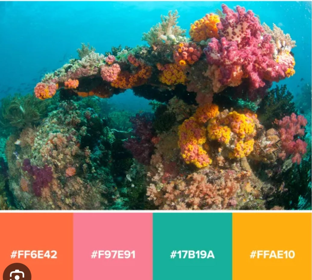 Coral Reef Spooled Warp